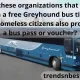 Do these organizations that help with a free Greyhound bus ticket for homeless citizens also provide a bus pass or voucher