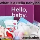 What is a Hello Baby box