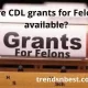 Are CDL grants for Felons available