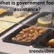 What is government food assistance