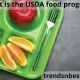 What is the USDA food program