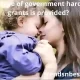 What programs are run by the government to assist single mothers