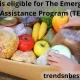 Who is eligible for The Emergency Food Assistance Program (TEFAP)
